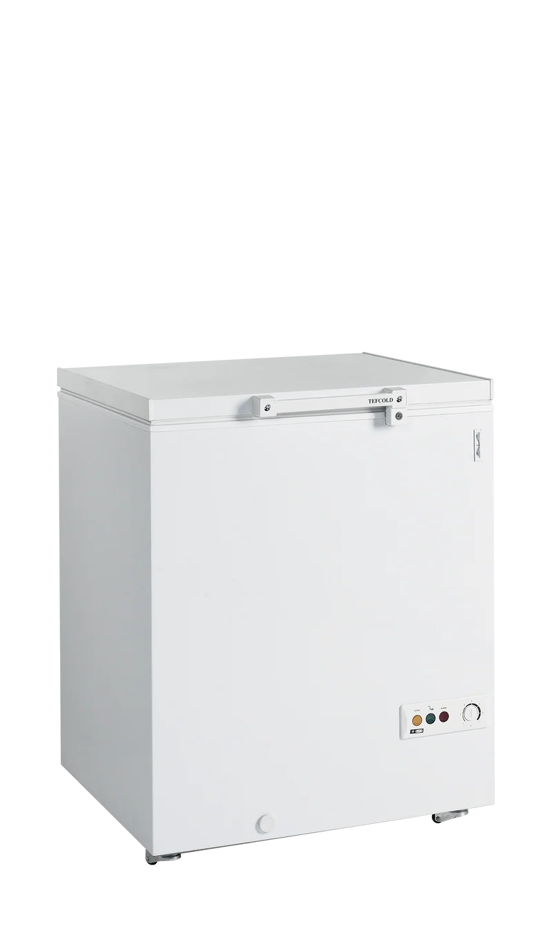 Congélateur de crème glacée - TEFCOLD - FR205-SL-16165