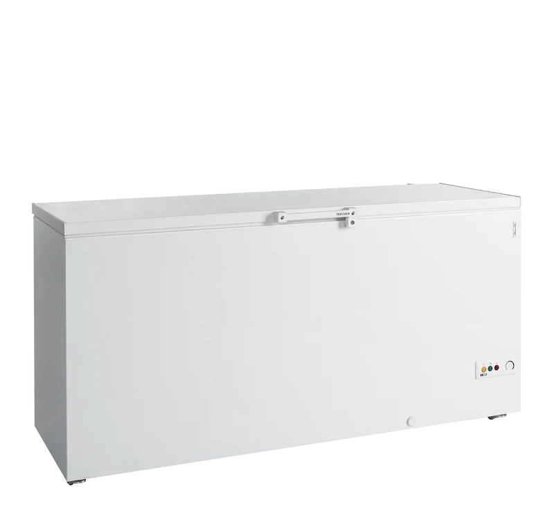Congélateur de crème glacée - TEFCOLD - FR605-SL-16179