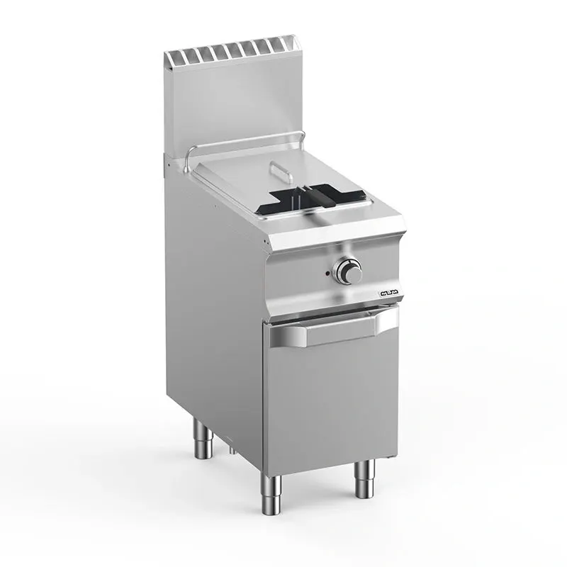 Friteuse 2 Paniers Gaz sur Coffre - FRVG74A - MBM