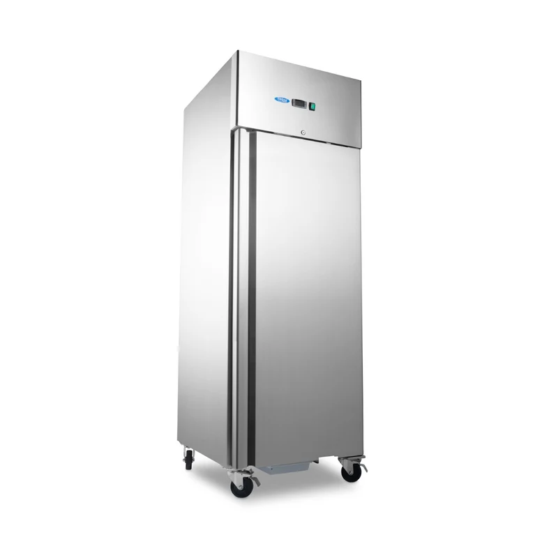 Armoire négative - 600 L - 3 étagères réglables (2/1 GN) - sur roulettes - incl étagères