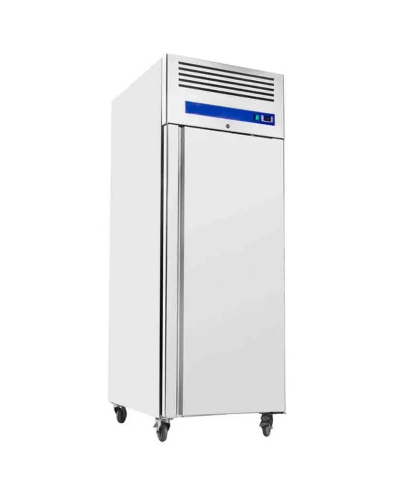 Armoire réfrigérée négative 1 porte 600L