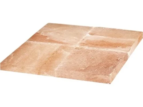 FORCAR Bloc de sel pour Dry-Ager G-GDPH508C