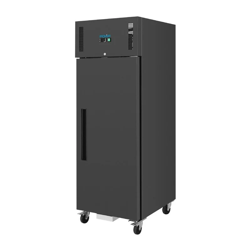 Armoire réfrigérée négative Polar série G noire 537 L