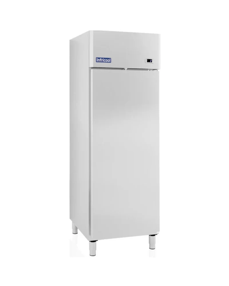 Armoire réfrigérée négative 1 porte - 580L
