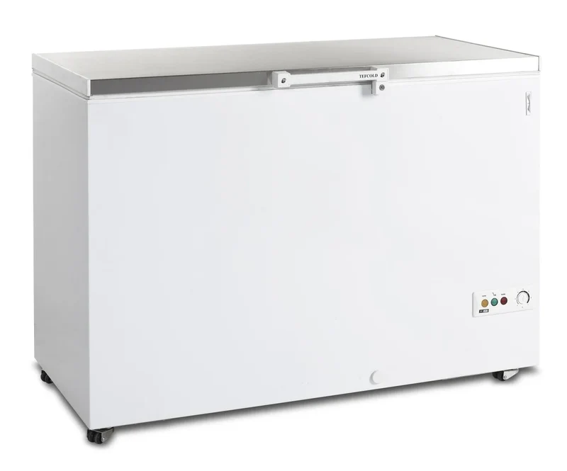 Coffre congélateur Tefcold FR 405 S