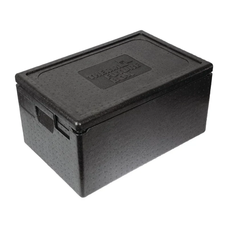 Thermo Future Thermobox PP Eco 46 Litres GN 1/1, de -40 à +120 °C