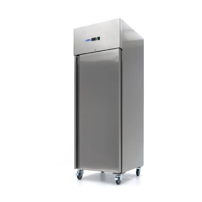 Congélateur - 400 L - 3 étagères réglables - acier inoxydable - sur roulettes