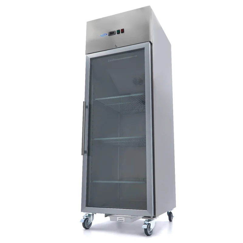 Armoire négative - 600 L - 3 étagères réglables (2/1 GN) - acier inoxydable - avec porte en verre