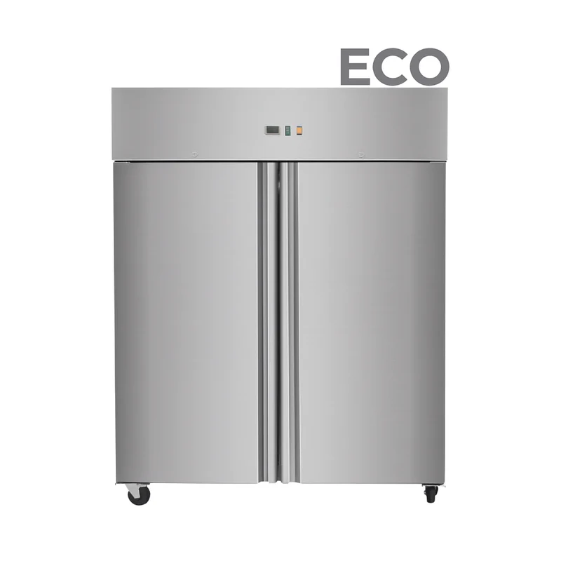 Armoire réfrigérée négative 1333 L inox 2 portes - Skyrainbow THL1410BTEC