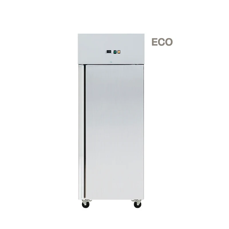 Armoire réfrigérée négative 610 L inox 1 porte - Skyrainbow THL650BTEC