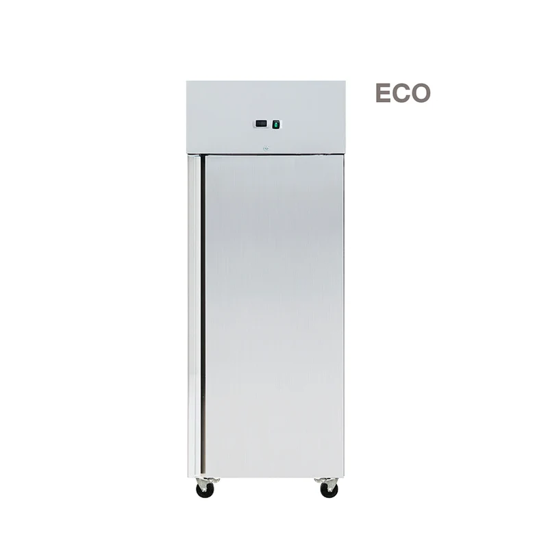 Armoire réfrigérée positive 610 L inox 1 porte - Skyrainbow THL650TNEC