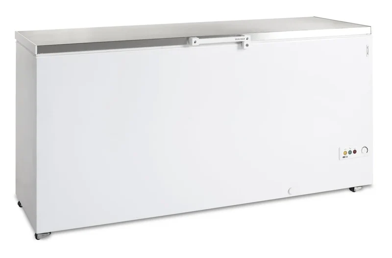 Coffre congélateur Tefcold FR 605 S