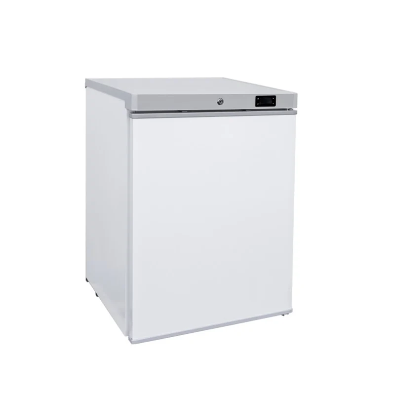 Armoire réfrigérée négative ABS 97L