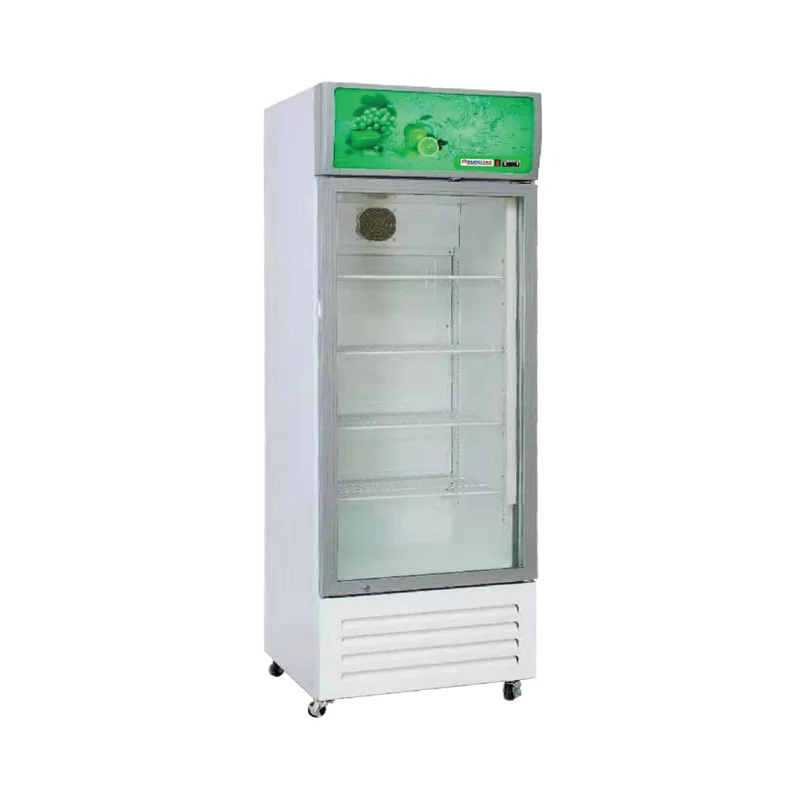 Armoire à boissons 1 porte vitrée battante 318 litres