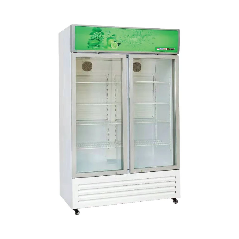 Armoire à boissons 2 portes vitrées battantes/coulissantes 688 litres