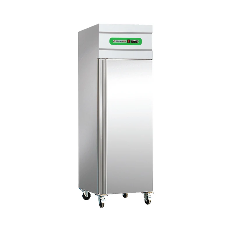 Armoire réfrigérée 1 porte pleine négative 429 L ou 650 L