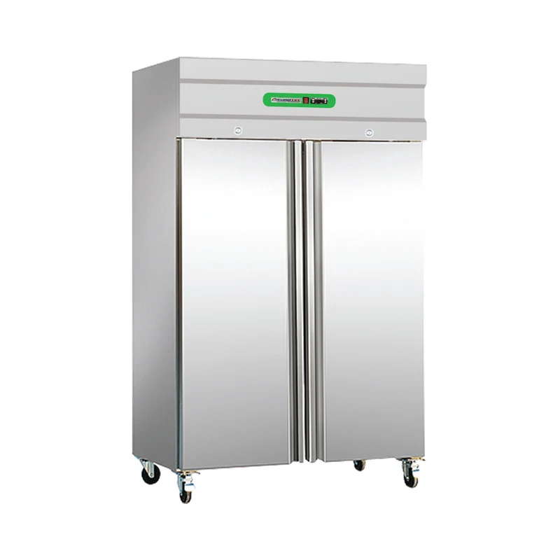Armoire réfrigérée 2 portes pleines positive 1410 L