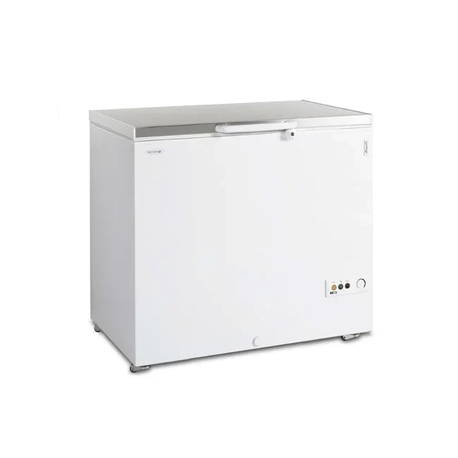 Coffre congélateur Tefcold FR 305 S