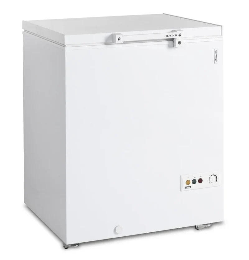 Coffre congélateur Tefcold FR 205
