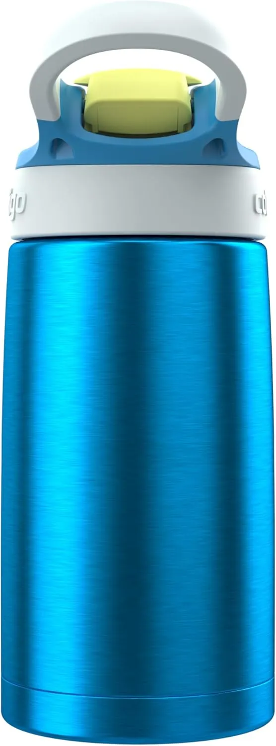 Insulated Stainless Steel Water Bottle with Straw - Blue Poppy/Glacier