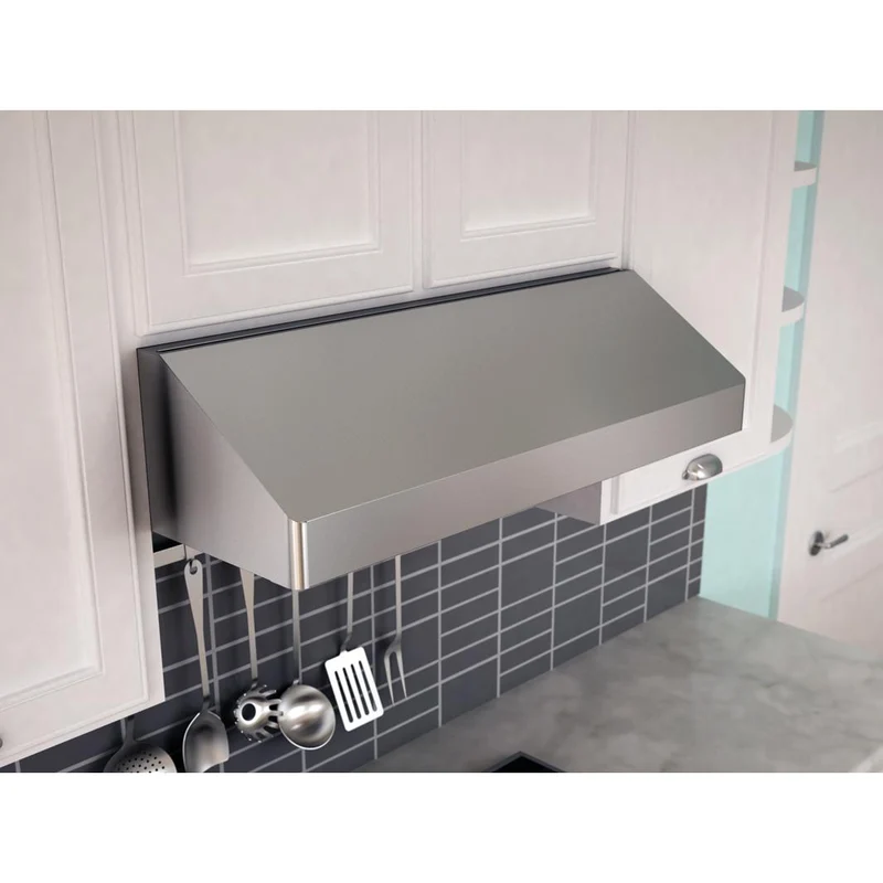 Zephyr Hotte de cuisinière sous cabinet Gust de 30 po AK7100BS-BF