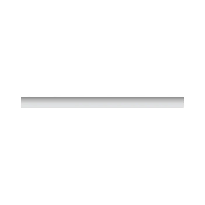 Fisher & Paykel Accessoires de réfrigération Panneau de plinthe AKRS4704